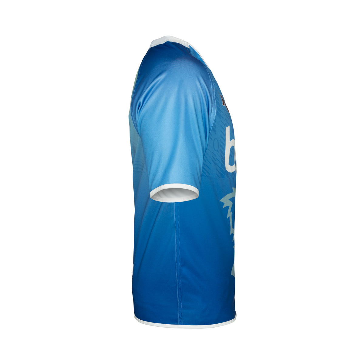 2025 Queensland Reds Mens Blue Replica Training Jersey | Queensland ...